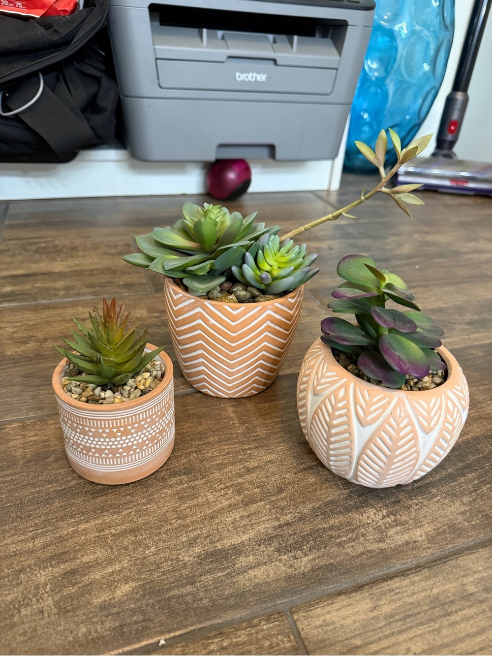 Terracotta Patterned Ceramic Succulent Planter Trio - Neutral Tan